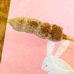 Tokyo: Master Asakusa Temple Etiquette, Food & Photo Walk - Who Will Love This Tour?