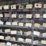 Tokyo: Meiji Jingu Historical Walk and Food Tasting Tour - Who Should Consider This Tour?