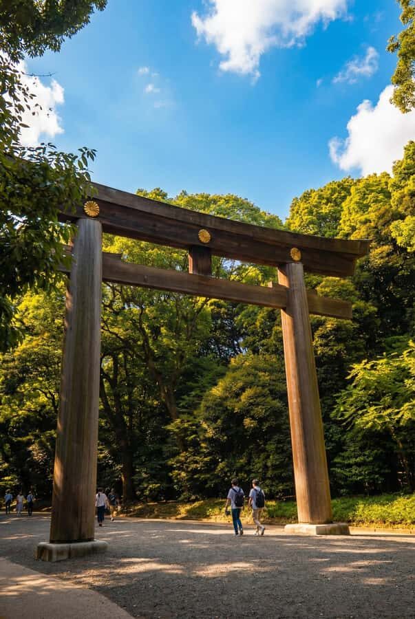 Tokyo: Meiji Jingu Shrine, Forest & Imperial Garden - Practical Details and Tips