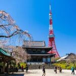 Tokyo Morning Tour Meiji Shrine, Asakusa and Local temple - Practical Details and What Travelers Should Know