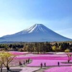 Tokyo: Mount Fuji and Hakone Private Customized Tour Guide - An In-Depth Look at the Tour: What to Expect