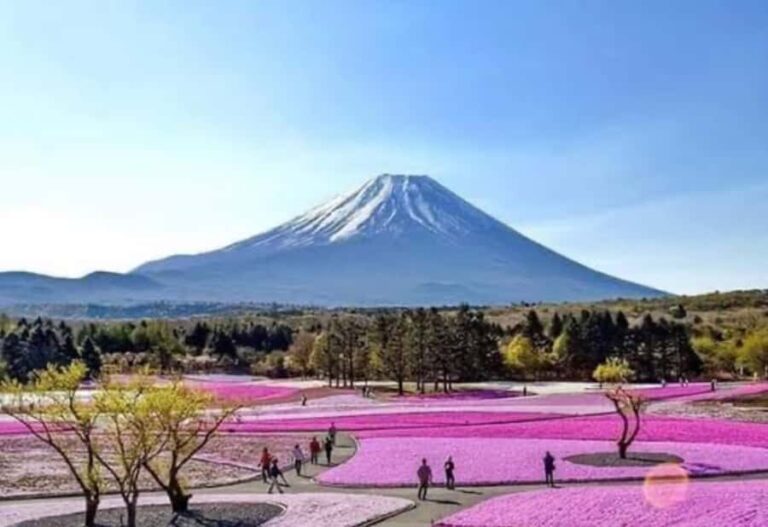 Tokyo: Mount Fuji and Hakone Private Customized Tour Guide - An In-Depth Look at the Tour: What to Expect