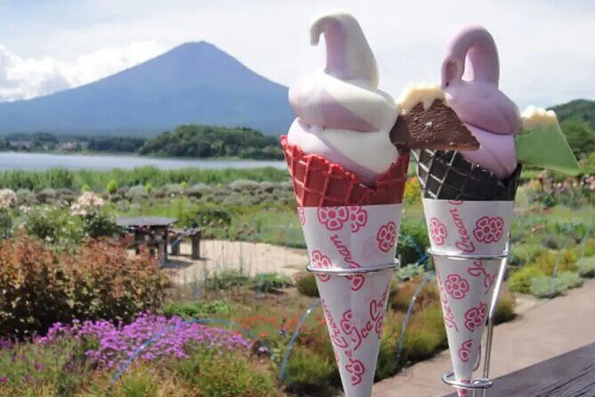 Tokyo Mount Fuji and Hakone Private Day Tour - Practical Details: What to Expect