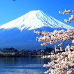 Tokyo: Mount Fuji and Hakone Private Day Trip with driver - Why This Tour Offers Real Value