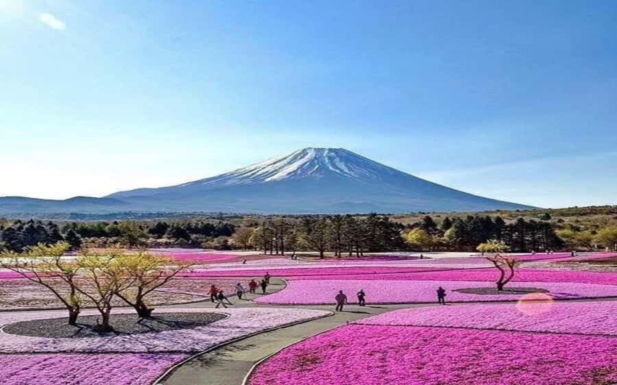 Tokyo: Mount Fuji and Hakone Private Sightseeing Day Tour - Detailed Breakdown of the Itinerary