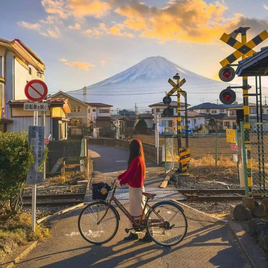Tokyo: Mount Fuji And Hakone Private Tour Full Customizable - The Experience: What Makes It Stand Out