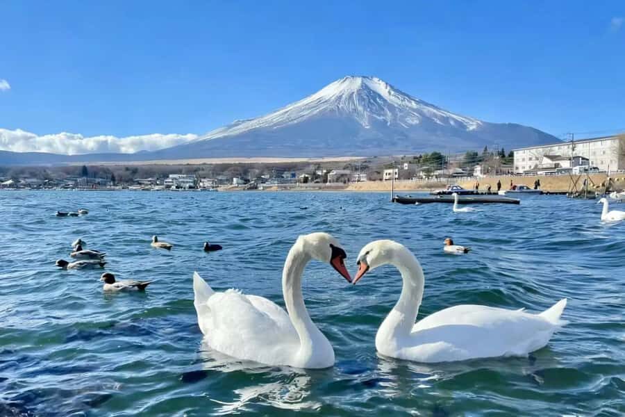 Tokyo: Mount Fuji and Lake Yamanaka Day Trip with Pickup - The Experience in Detail