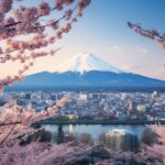 Tokyo: Mount Fuji, Chureito Pagoda Private Tour Customizable - The Itinerary Breakdown