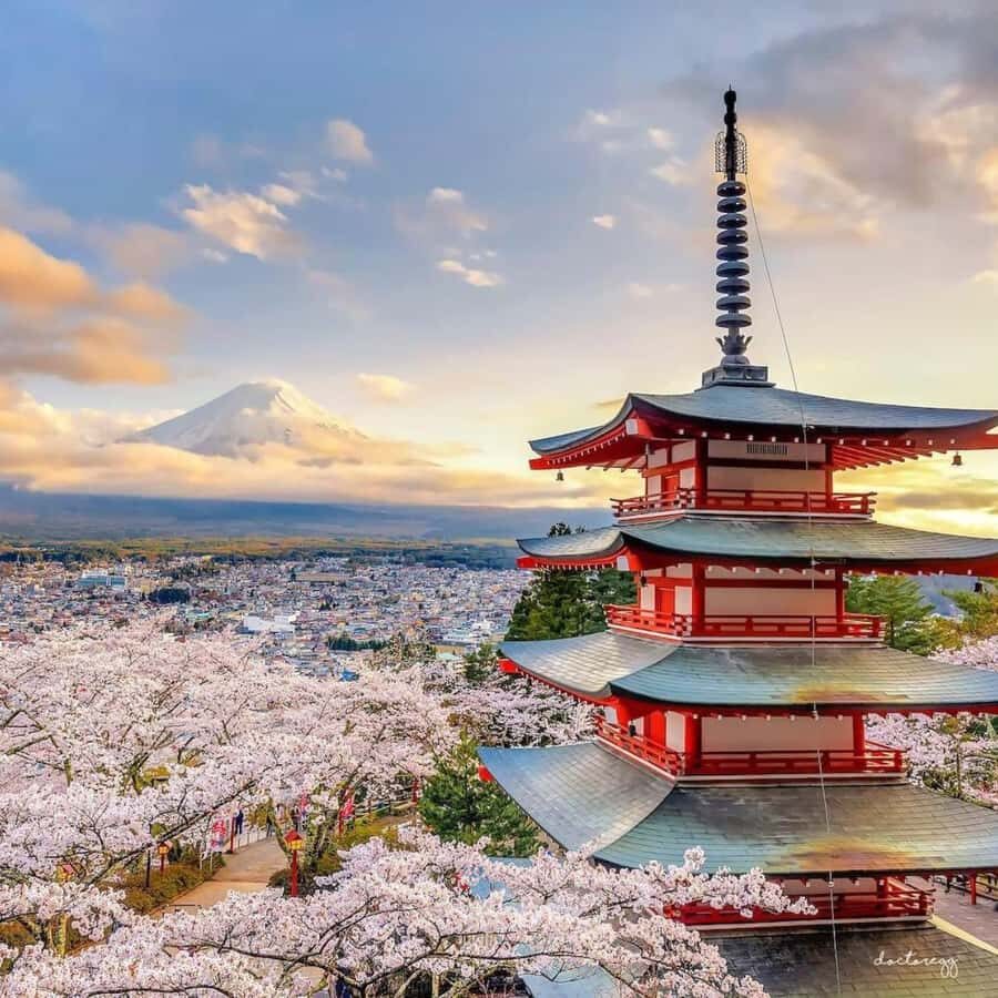 Tokyo: Mount Fuji Day Trip By English Speaking Driver - What Makes This Tour Special?