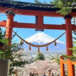 Tokyo: Mount Fuji Full Day Private Customized Tour - What to Expect on the Tour