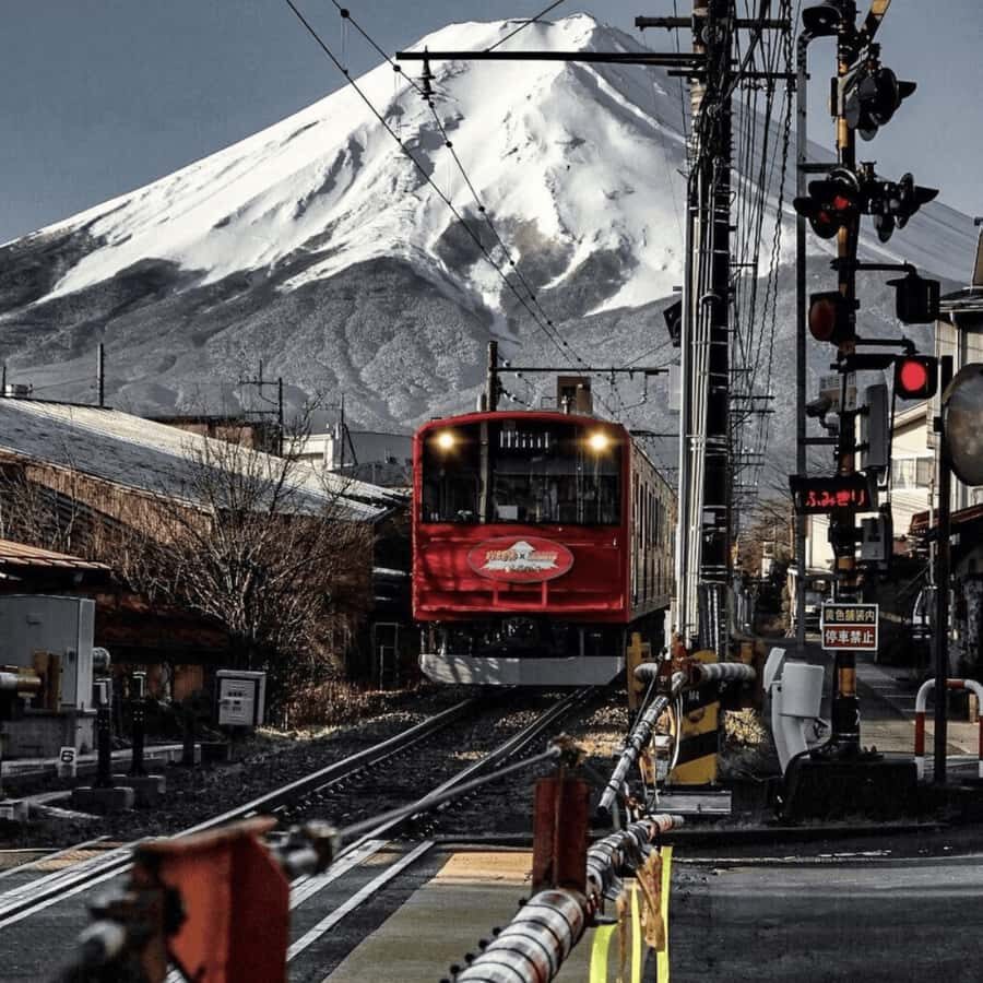 Tokyo: Mount Fuji Must See Private Tour Adjustable Itinerary - An In-Depth Look at the Itinerary
