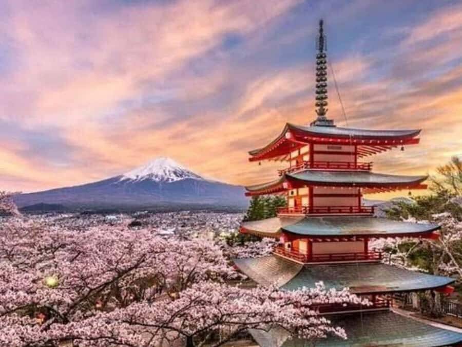 Tokyo : Mount Fuji Private Customized Tour English Guide - Practical Details and Tips