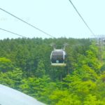 Tokyo: Mount Fuji Private Customized Tour with Cruise Option - What You Can Expect on This Tour