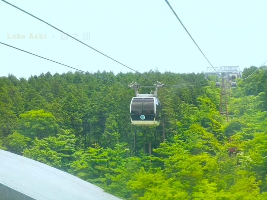 Tokyo: Mount Fuji Private Customized Tour with Cruise Option - What You Can Expect on This Tour