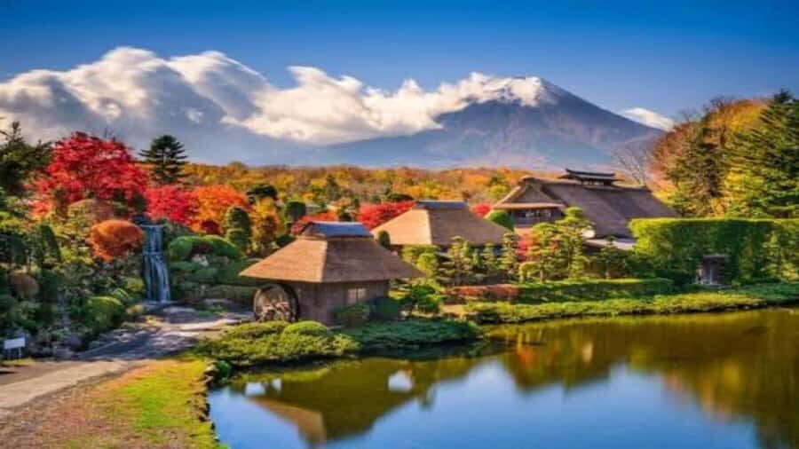 Tokyo: Mount Fuji Private Full-Day Tour With English Guide - Final Thoughts