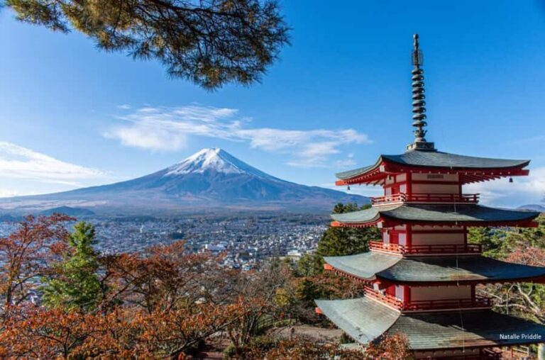 Tokyo: Mount Fuji Private Tour Custom itinerary With Guide - Breakdown of the Itinerary