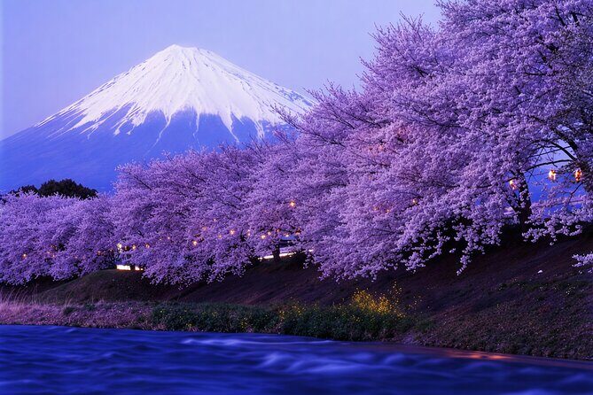 Tokyo: Mt Fuji 3 Lakes Day Trip Secret Spots and Seasonal View - Why This Tour Offers Great Value