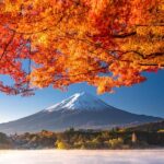 Tokyo: Mt. Fuji 5th Station, Kawaguchiko Tour w/ Boat Ride - Authentic Experiences and Authentic Views