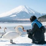 Tokyo: Mt. Fuji & 6 Must-See Spots: Oshino & Lake Kawaguchi - What Travelers Say