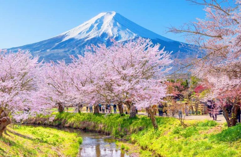 Tokyo: Mt Fuji 6 Spots Tour, Lake Yamanaka, Lake Kawaguchi - What Does This Tour Offer in Terms of Value?