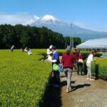 Tokyo: Mt. Fuji Cherry Blossoms and Tea picking Tour - What to Expect: Comfort, Convenience, and Authenticity