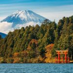 Tokyo: Mt. Fuji & Hakone One-Day Private Tour - Exploring the Itinerary in Detail