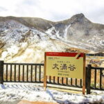 Tokyo Mt. Fuji Hakone Shrine, Owakudani, Lake Yamanakai Day Tour - What Real Travelers Say