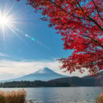 Tokyo: Mt. Fuji Highlights and Whisky Museum Private Tour - Exploring the Itinerary in Detail