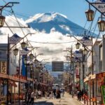 Tokyo: Mt. Fuji, Kawagoe, & Hikawa Shrine Day Trip - An In-Depth Look at the Tour Experience