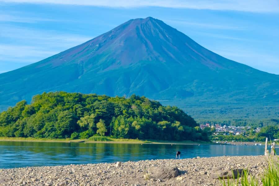 Tokyo: Mt. Fuji, Makaino Farm, and Lake Kawaguchi Tour - Saiko Iyashi-no-Sato Nenba
