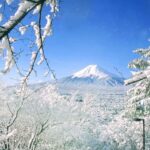 Tokyo: Mt Fuji & Oishi Park &Lake Kawaguchi & OshincHakkai - An In-Depth Look at the Tour Itinerary