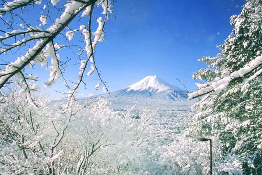 Tokyo: Mt Fuji & Oishi Park &Lake Kawaguchi & OshincHakkai - An In-Depth Look at the Tour Itinerary