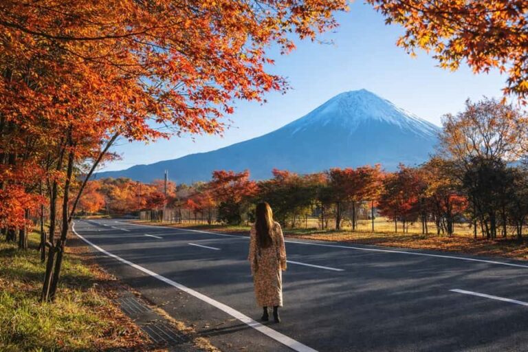 Tokyo: Mt Fuji One-Day Private & Customizable Tour - Why Choose This Tour?