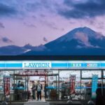 Tokyo: Mt Fuji One-Day Private Tour of top sights - Who This Tour Is Best For