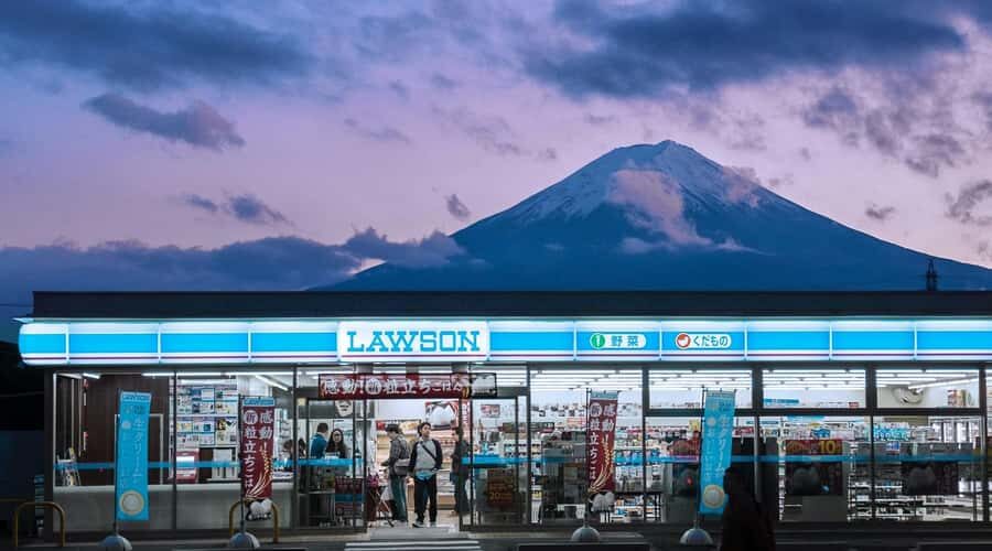 Tokyo: Mt Fuji One-Day Private Tour of top sights - Who This Tour Is Best For