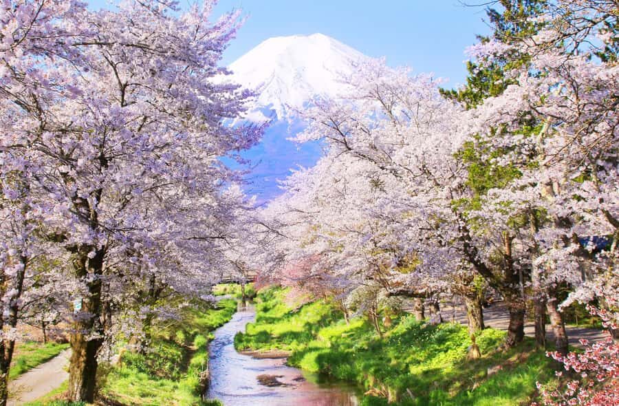 Tokyo: Mt Fuji & Oshino Hakkai & Lake Kawaguchi & Oishi Park - Lake Kawaguchi and the Lawson Store