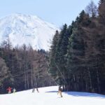 Tokyo: Mt. Fuji View with Fujiten Snow Fun & Oishi Park Tour - Why This Tour Matters