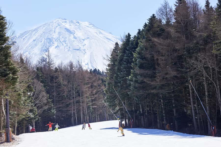 Tokyo: Mt. Fuji View with Fujiten Snow Fun & Oishi Park Tour - Why This Tour Matters