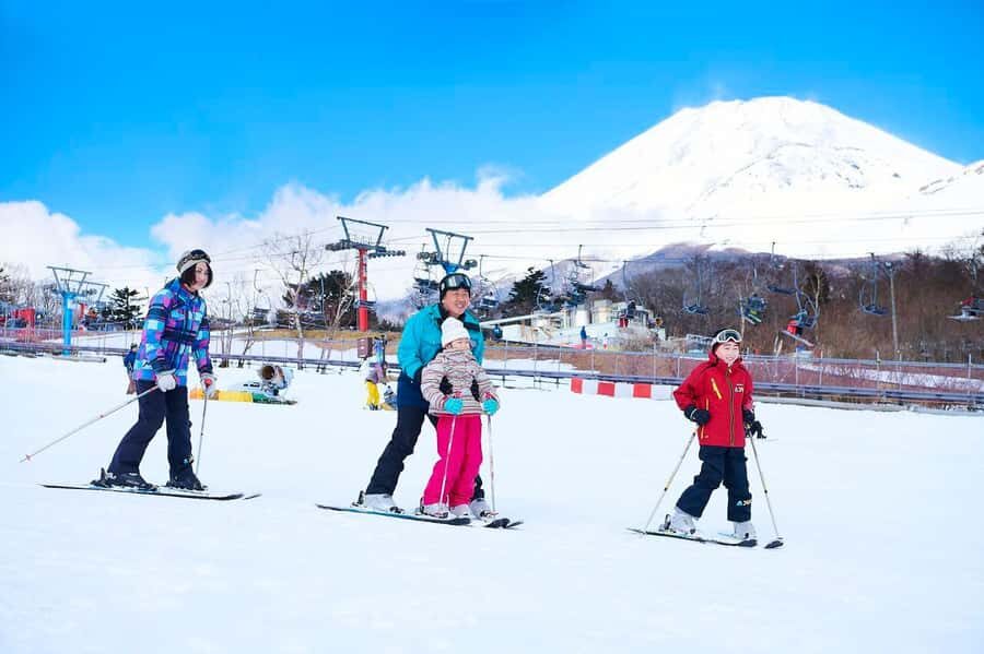 Tokyo: Mt. Fuji Yeti Ski, Hot Spring & Fruit Picking Tour - Who Will Love This Tour?