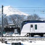 Tokyo: Mt. Fuji,Kawaguchi Lake,Scenic Cruise & Fujikyu Train - Real Traveler Insights and Feedback