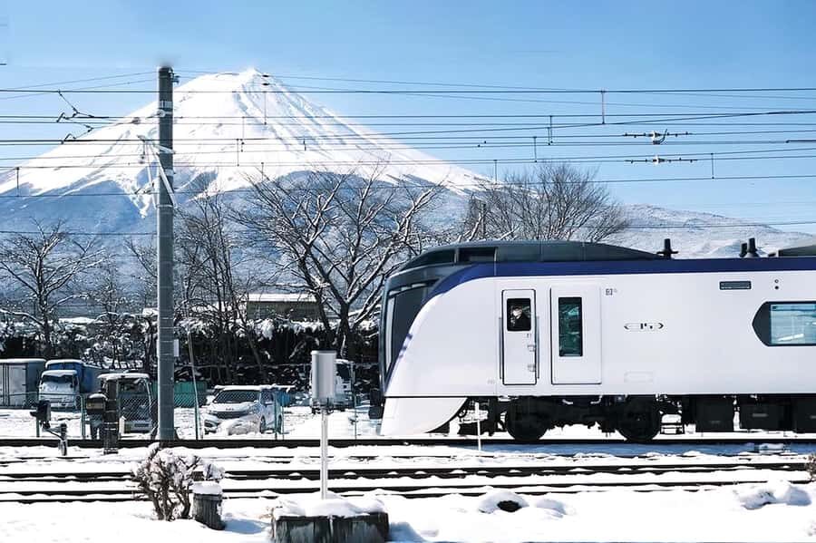 Tokyo: Mt. Fuji,Kawaguchi Lake,Scenic Cruise & Fujikyu Train - Real Traveler Insights and Feedback
