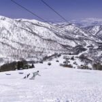 Tokyo: Naeba Ski, Kiyotsu Gorge and Fruit Picking Two Days - Practical Details and Value