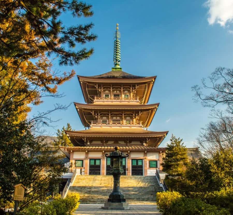 Tokyo: Nagano Private Day Tour with Guide and Transfer - What to Expect on the Day