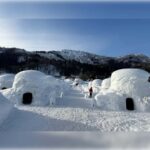 Tokyo: Nagano Private Tour with Igloo Village & snow Monkeys - Authenticity and Practical Tips