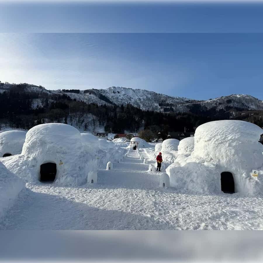Tokyo: Nagano Private Tour with Igloo Village & snow Monkeys - Authenticity and Practical Tips