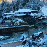 Tokyo/Nagano: private Tour with Snow Monkey Park & Temples - Practical Details & What to Know Before Booking