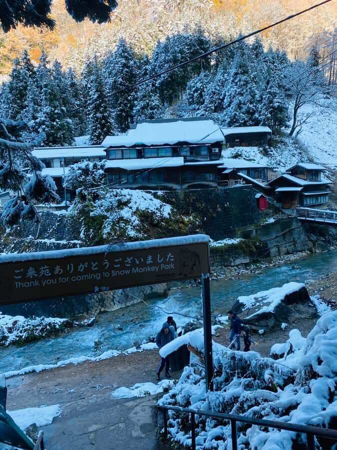 Tokyo/Nagano: private Tour with Snow Monkey Park & Temples - Practical Details & What to Know Before Booking