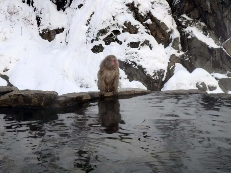 Tokyo: Nagano Snow Monkeys and Zenko-ji Temple Day Trip - Exploring Nagano’s Natural and Cultural Treasures