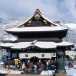Tokyo/Nagano: Snow Monkeys Private Tour Full Customizable - The Value of a Private, Customizable Tour