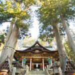 Tokyo: Nagatoro, Mitsumine Shrine & Waterfalls One-Day Tour - Who Should Consider This Tour?